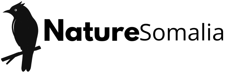 Nature Somalia Logo