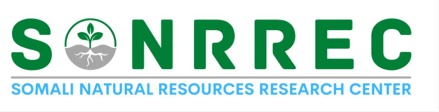 Partner 6 logo